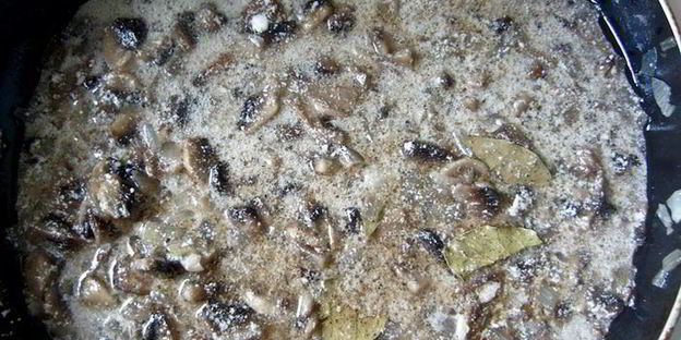 куриные тефтели в грибном соусе