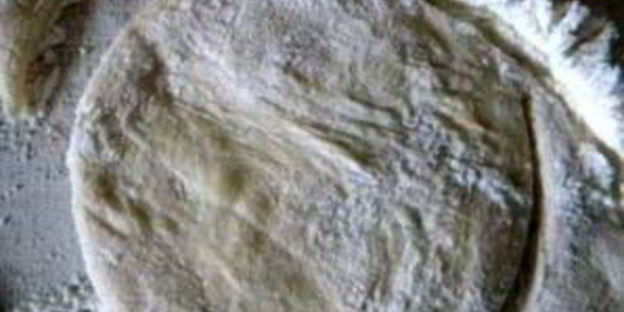 вареники с яблоками