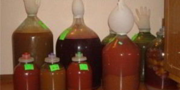 брага из варения