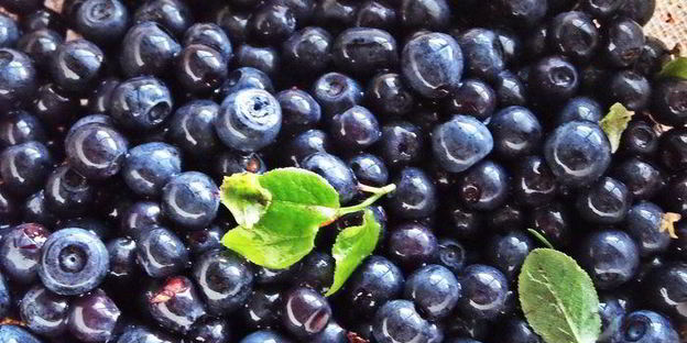 чернично-яблочный напиток