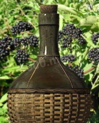 Домашнее вино из бузины