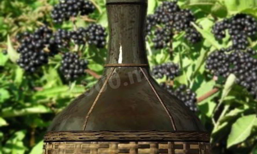 Рецепт домашнего вина из бузины