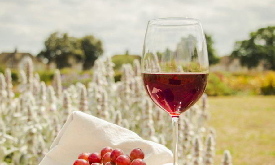 Рецепт домашнего вина из лидии