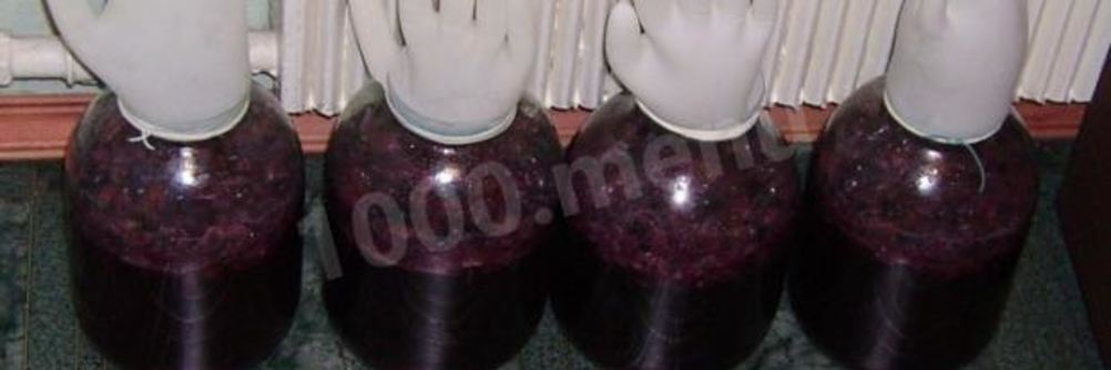 Домашнее вино из винограда Изабелла