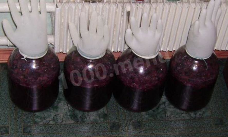 Рецепт домашнего вина из винограда изабелла