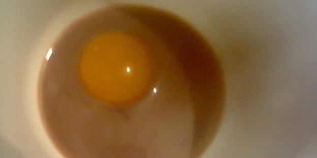 коктейль шоколадный