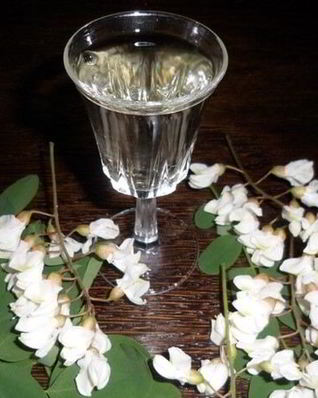 Напиток из акации на зиму