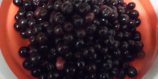 напиток из черноплодной рябины