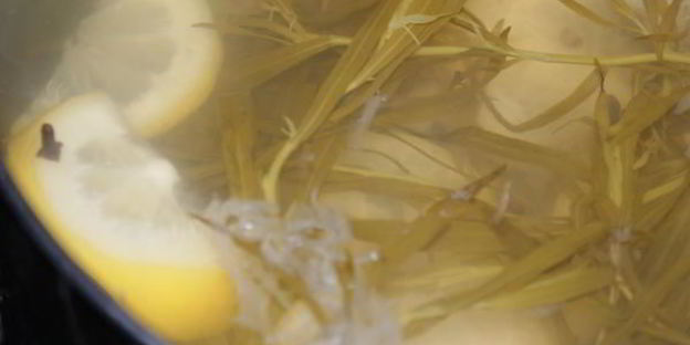 напиток тархун с пряностями