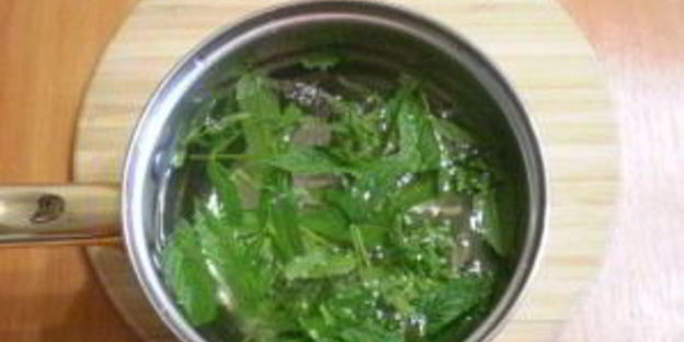 освежающий напиток из мяты