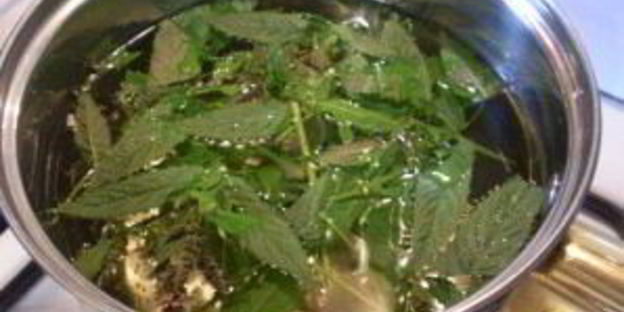 освежающий напиток из мяты