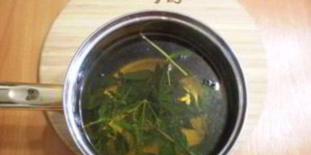 освежающий напиток из мяты