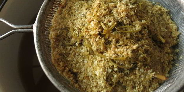 сироп из бузины