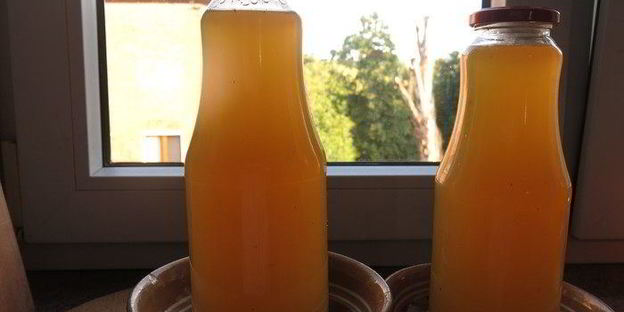 сироп из бузины