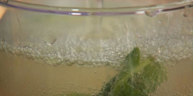 творожный ролл и напиток из лайма