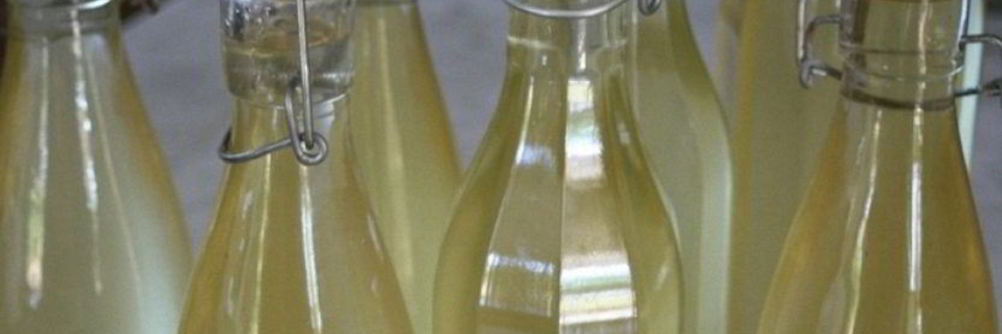 Вино из крыжовника