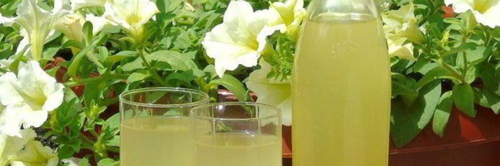 Вино из одуванчиков