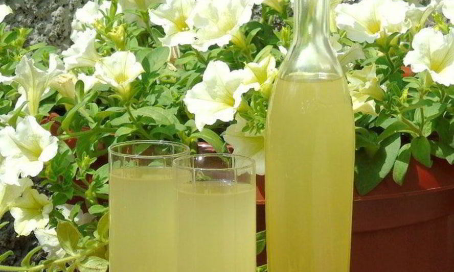 Рецепт вина из одуванчиков