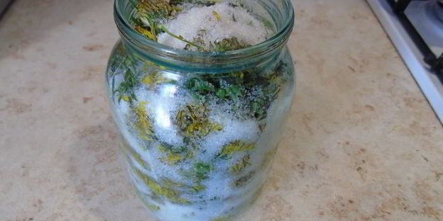 вино из одуванчиков