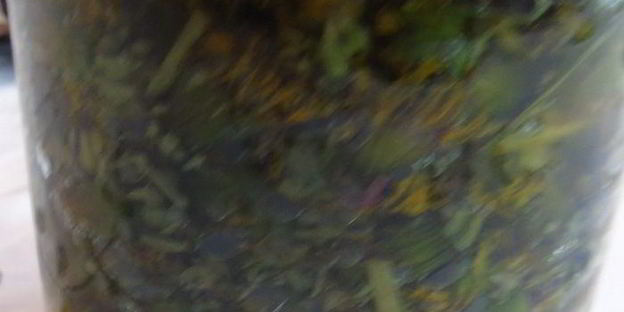 вино из одуванчиков