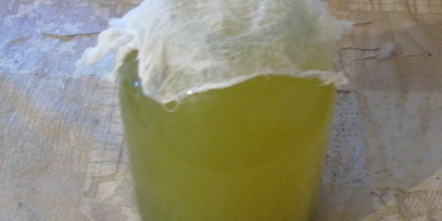 вино из одуванчиков