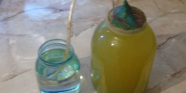 вино из одуванчиков