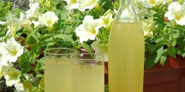 вино из одуванчиков