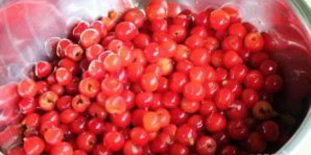 вино из вишни