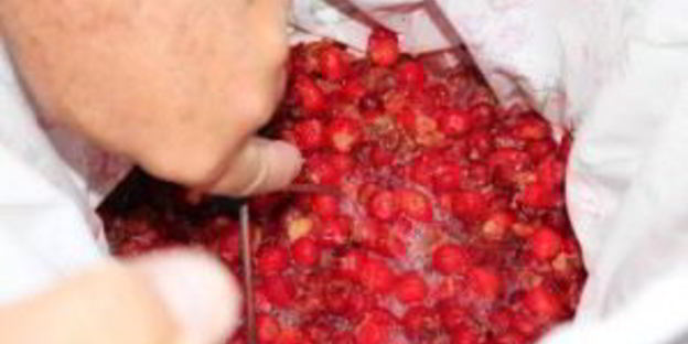 вино из вишни