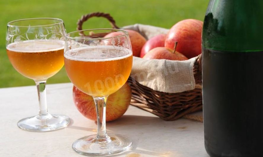 Рецепт вина сидр