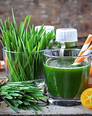 Энергетический коктейль из ростков пшеницы