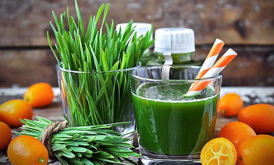 Рецепт энергетического коктейля из ростков пшеницы