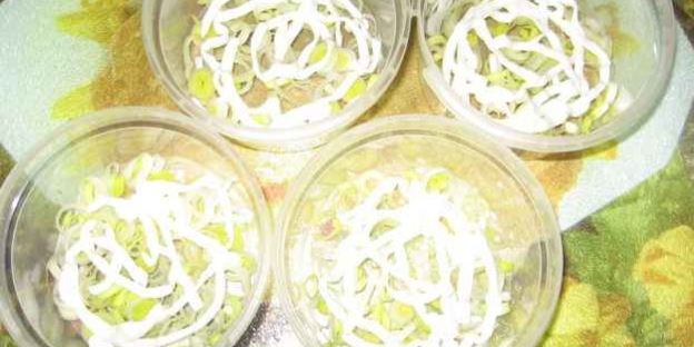 салат сельдь под шубой