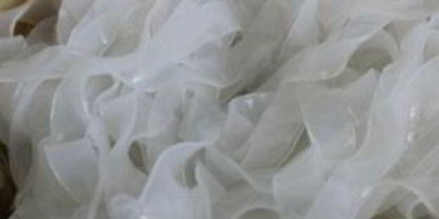 салат с кальмарами и шампиньонами