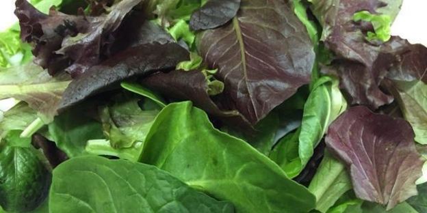 теплый салат с куриной печенью, грибами и авокадо