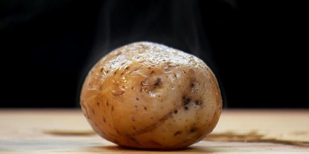 теплый салат с куриными сердечками