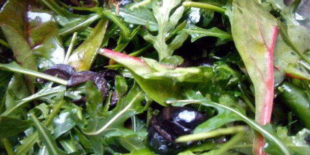 теплый салат с мясом акулы