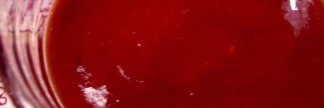 Сливовый соус готовим на зиму