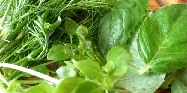 соус к мясу из жимолости