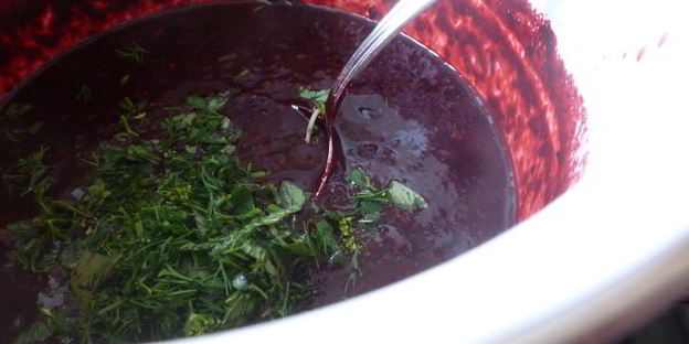 соус к мясу из жимолости