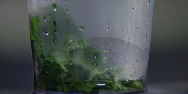 соус винсен