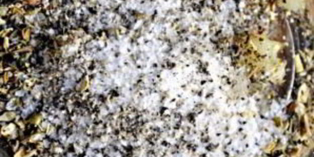 заправка для греческого салата