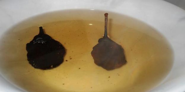 борщ постный с килькой и грушами