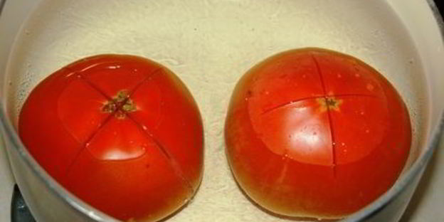 летний борщ без свеклы с помидорами