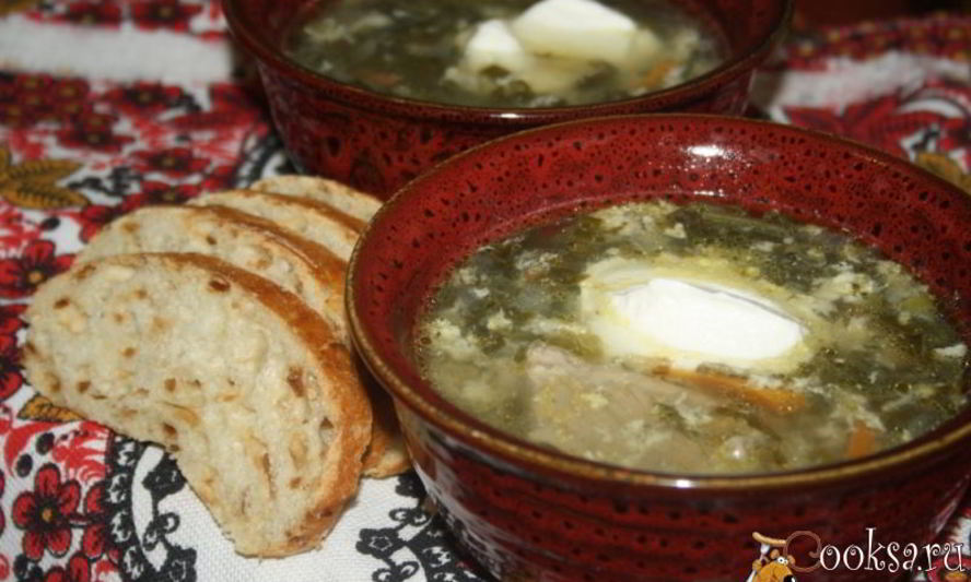 Рецепт зеленого борща со щавелем и виноградными листьями