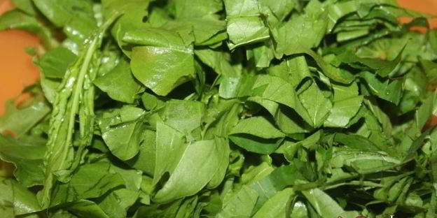 зеленый борщ со щавелем и виноградными листьями