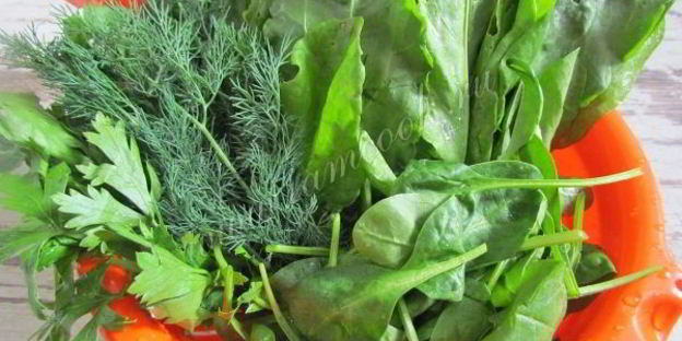 зеленый борщ со шпинатом и щавелем