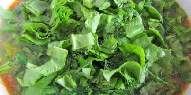 зеленый борщ со шпинатом и щавелем