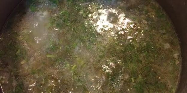 зеленый борщ