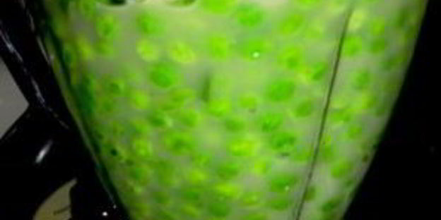 гороховый суп